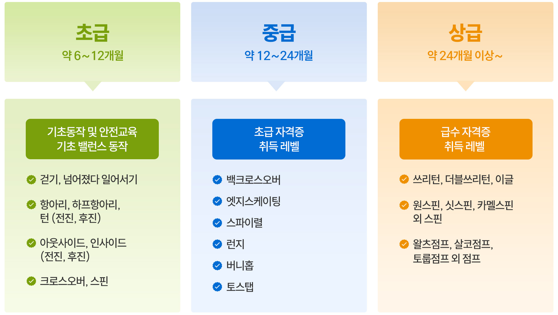 피겨 스케이팅 커리큘럼